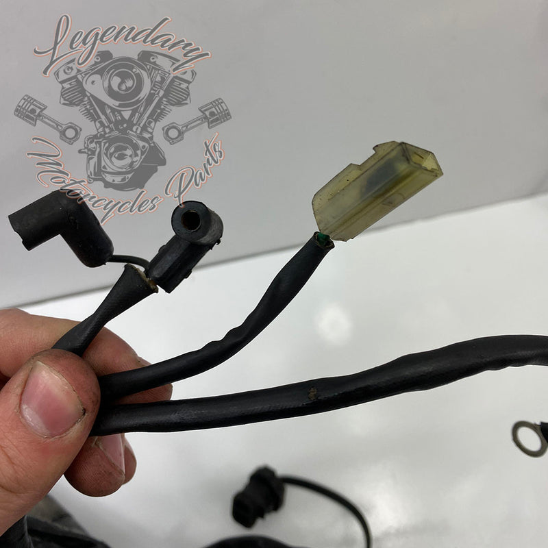 Hoofdbundel OEM 69603-08A