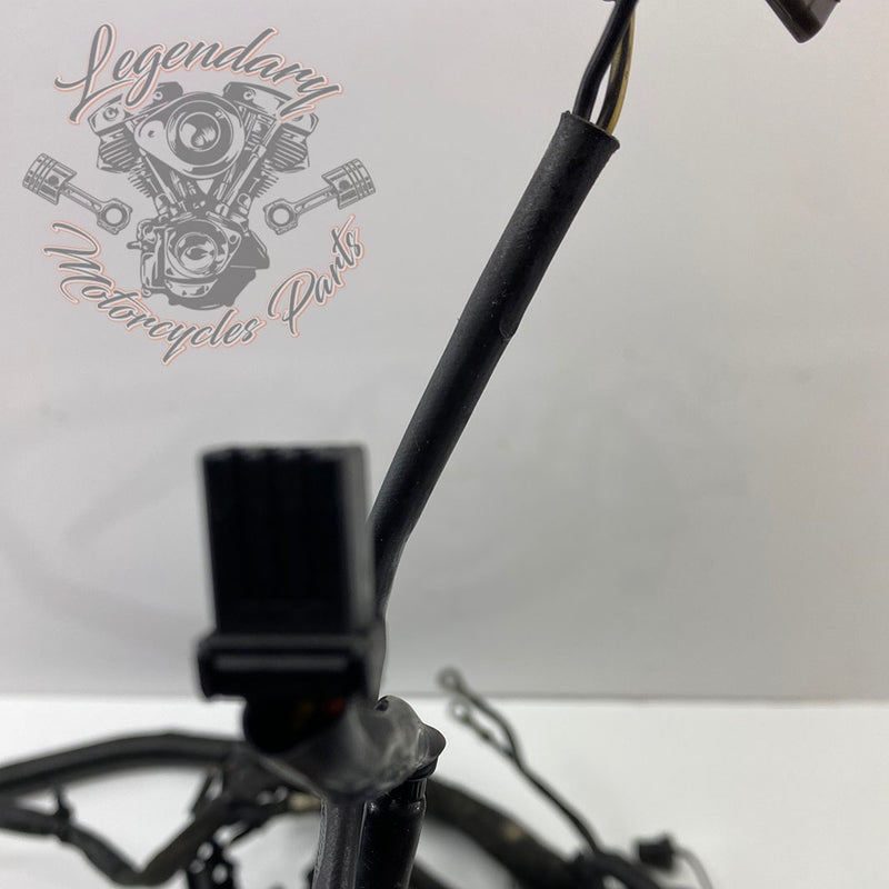 Hoofdbundel OEM 69603-08A