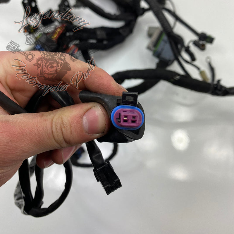 Hoofdbundel OEM 69603-08A