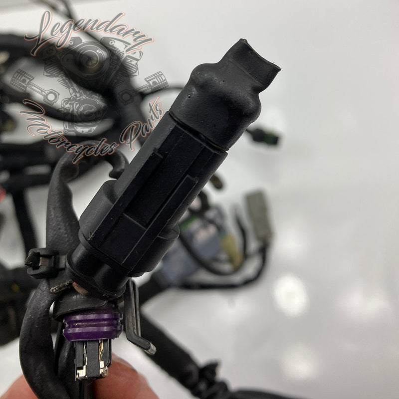 Hoofdbundel OEM 69603-08A