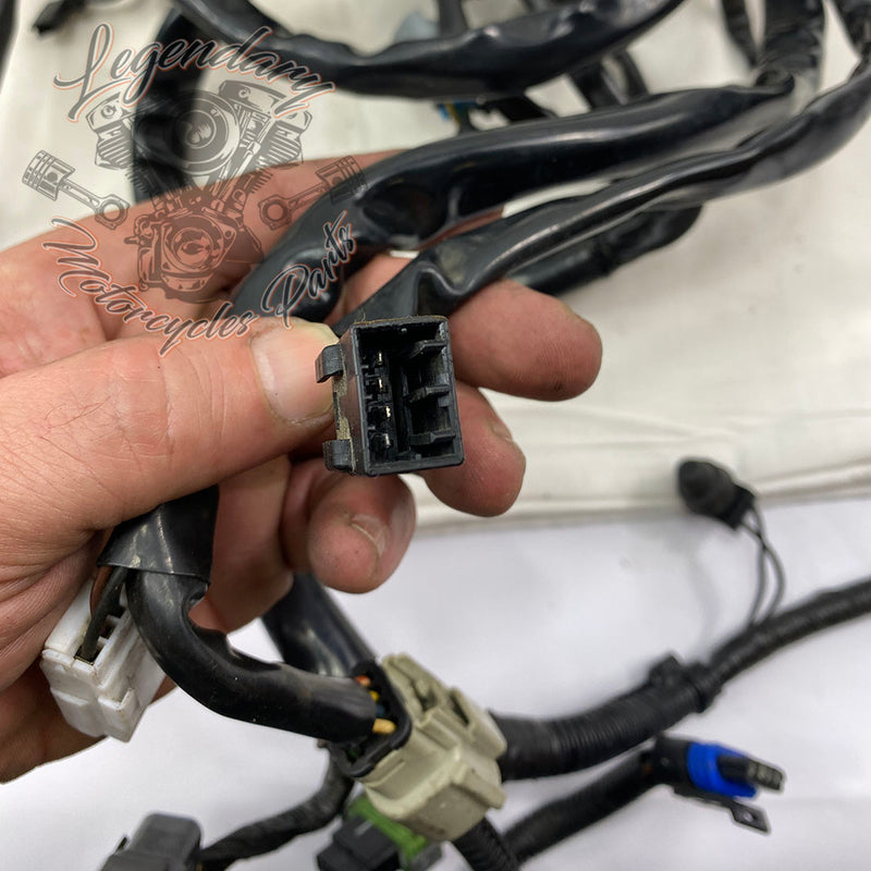 Hauptkabelbaum OEM 69603-08