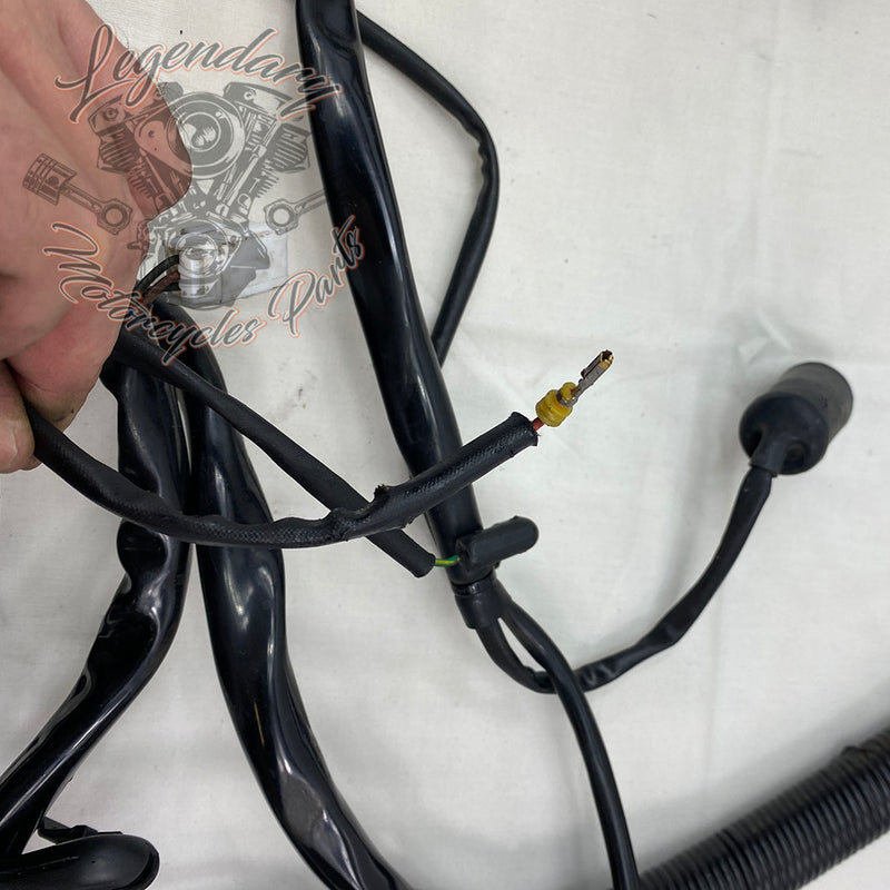Hauptkabelbaum OEM 69603-08