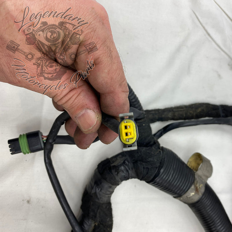 Hauptkabelbaum OEM 69603-08