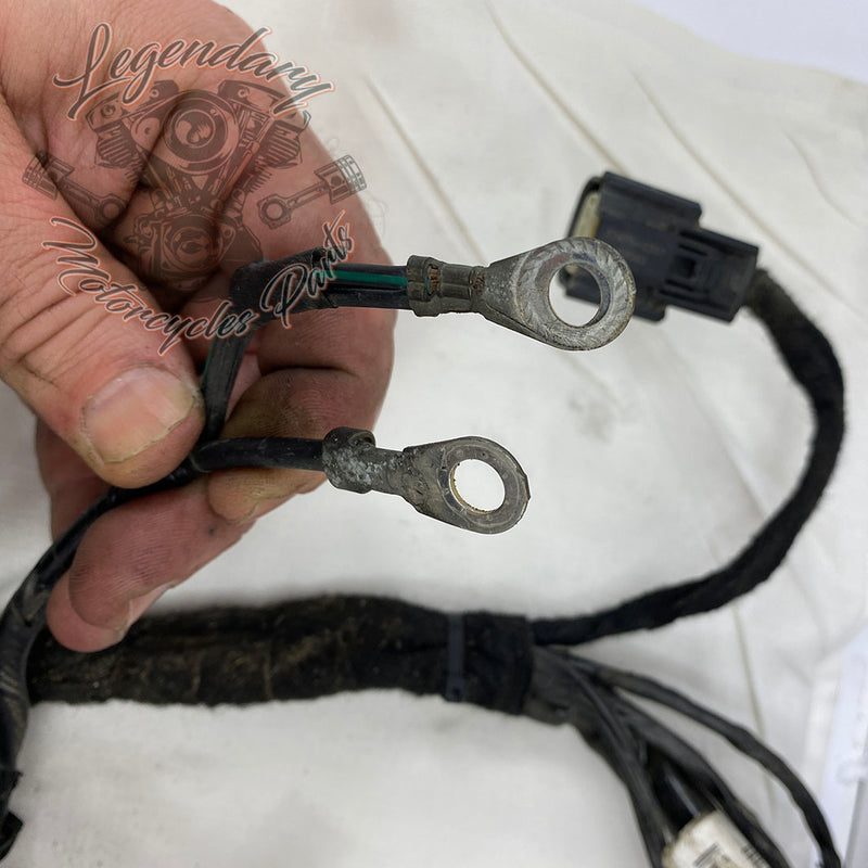 Hauptkabelbaum OEM 69603-08