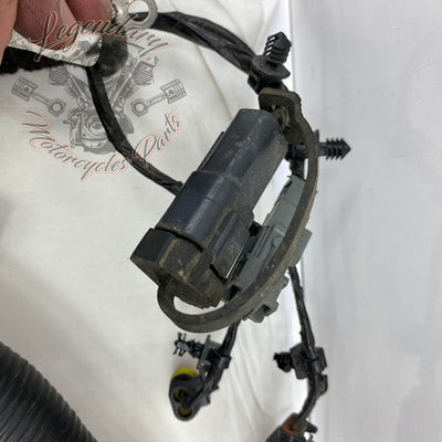 Hauptkabelbaum OEM 69603-08