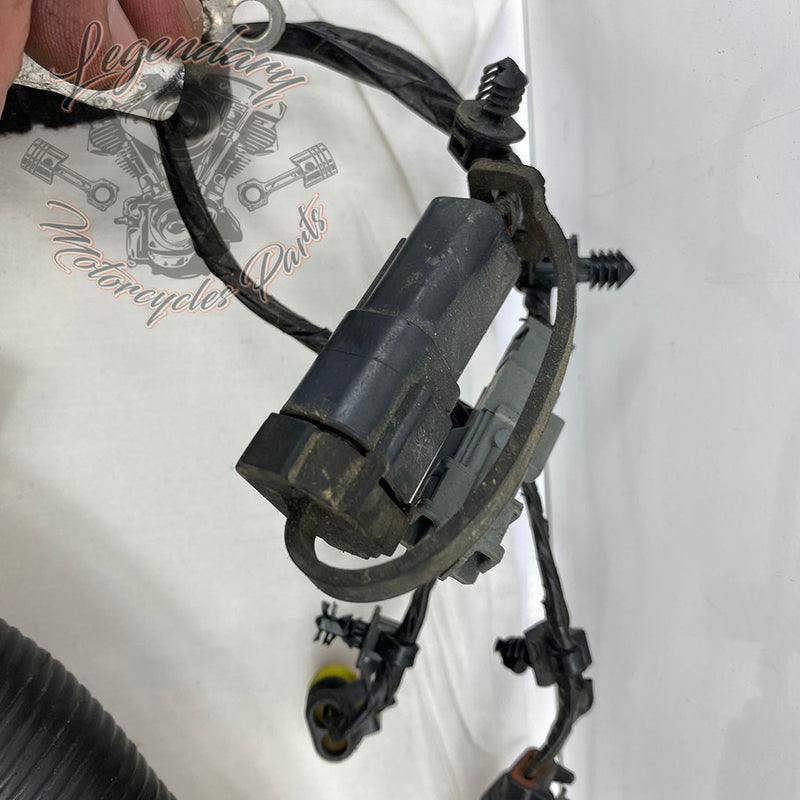 Main harness OEM 69603-08