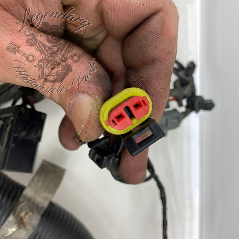 Hauptkabelbaum OEM 69603-08