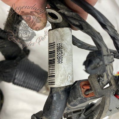 Hauptkabelbaum OEM 69603-08