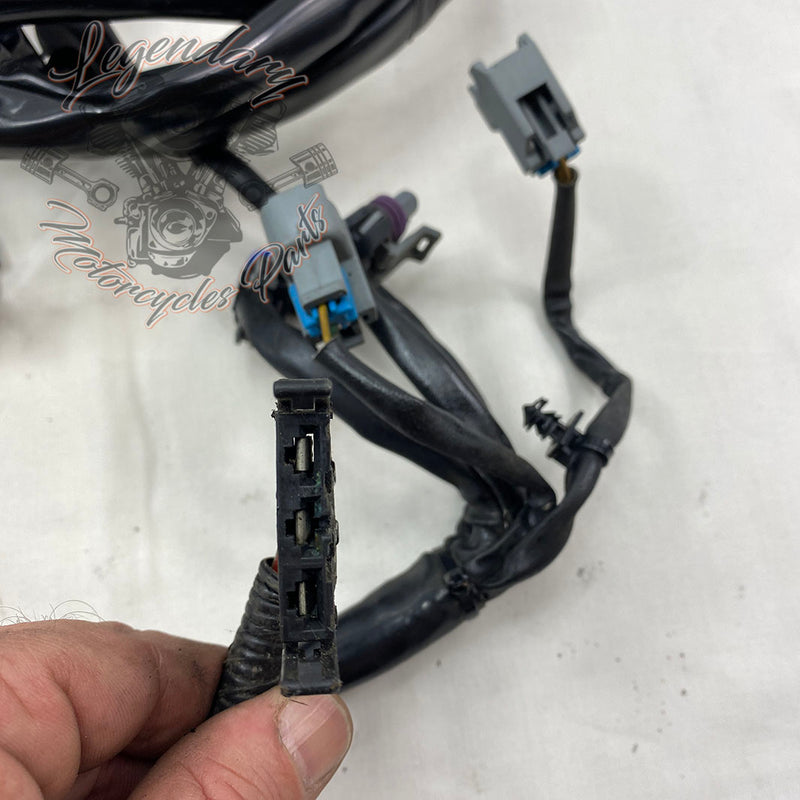 Main harness OEM 69603-08