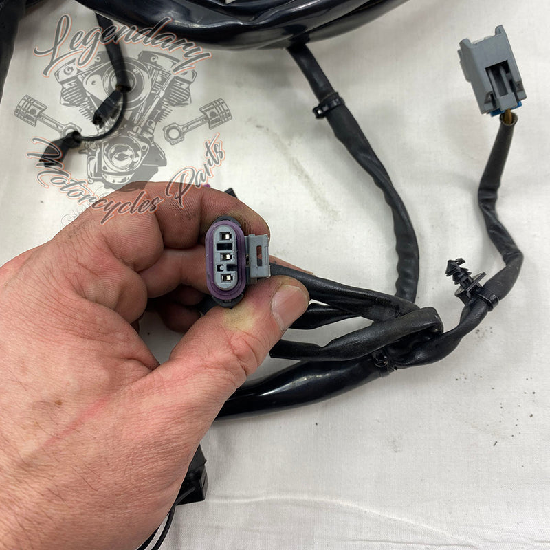 Hauptkabelbaum OEM 69603-08