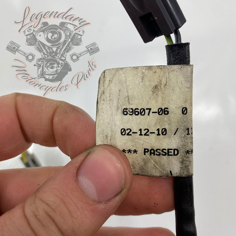 Air Intake Sensor Harness OEM 69607-06