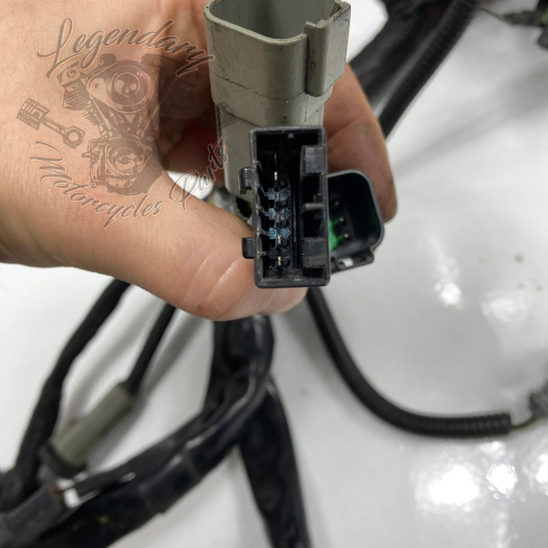 Glavni snop OEM 70116-04