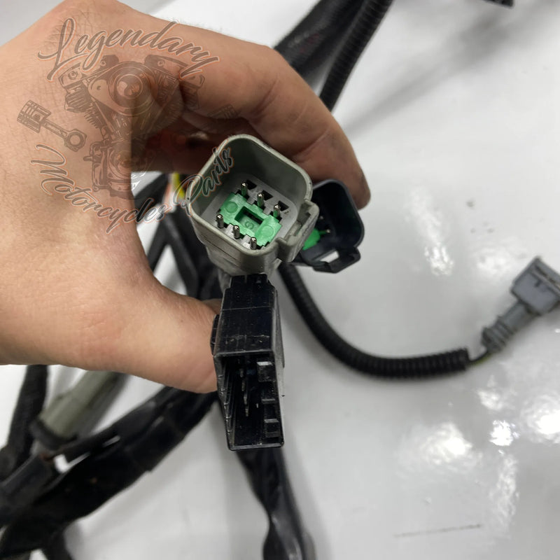 Glavni snop OEM 70116-04