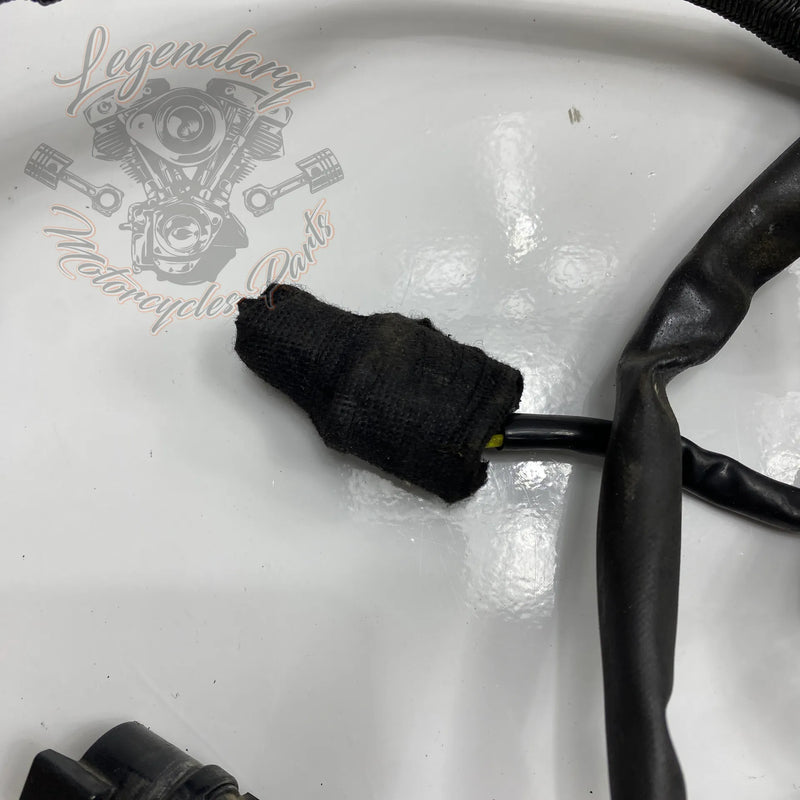 Glavni snop OEM 70116-04