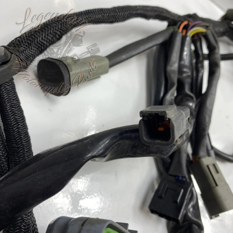 Glavni snop OEM 70116-04
