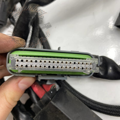 Glavni snop OEM 70116-04