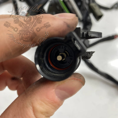 Glavni snop OEM 70116-04