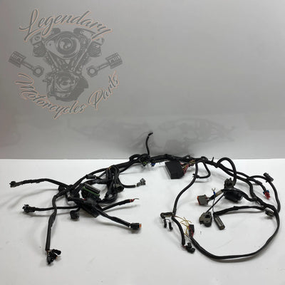 Glavni snop OEM 70116-04
