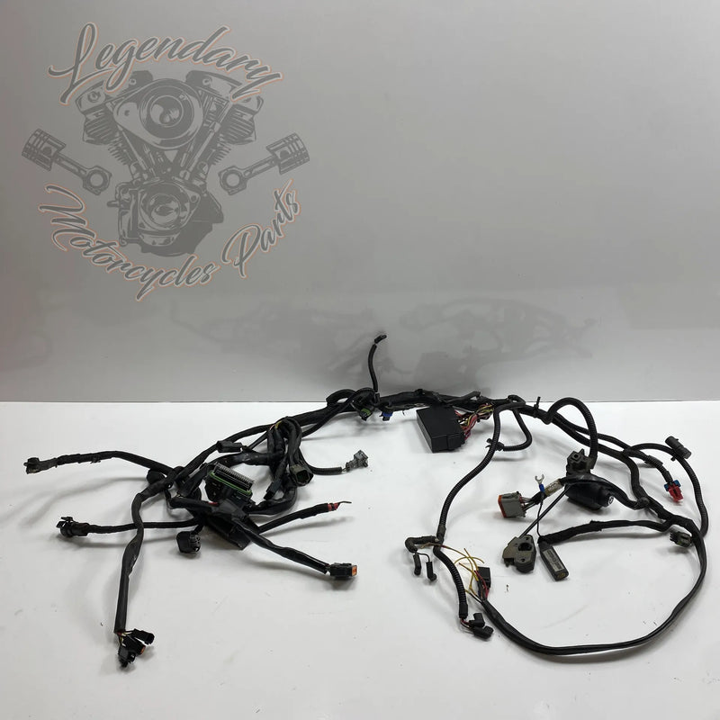 Glavni snop OEM 70116-04