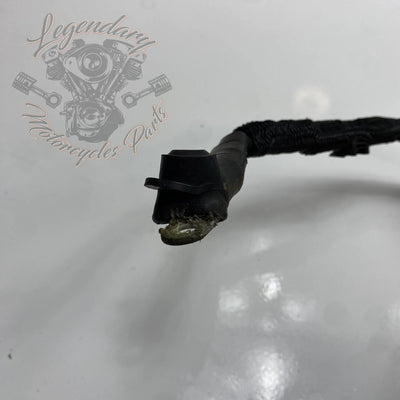 Glavni snop OEM 70116-04