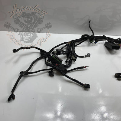 Glavni snop OEM 70116-04