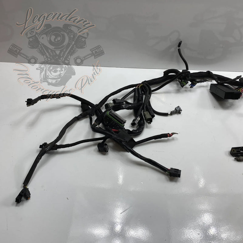 Glavni snop OEM 70116-04