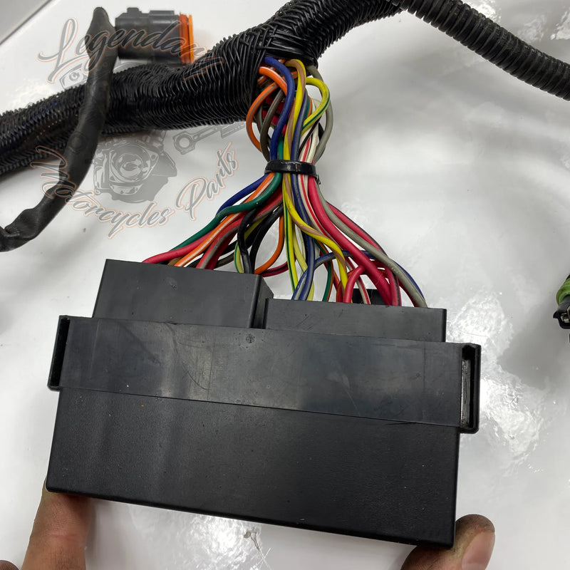 Glavni snop OEM 70116-04