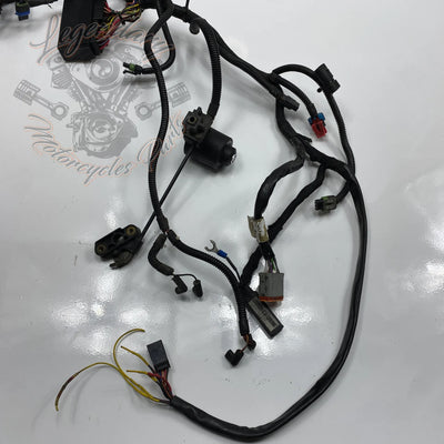 Glavni snop OEM 70116-04