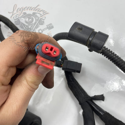 Glavni snop OEM 70116-04