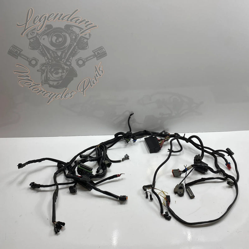 Glavni snop OEM 70116-04