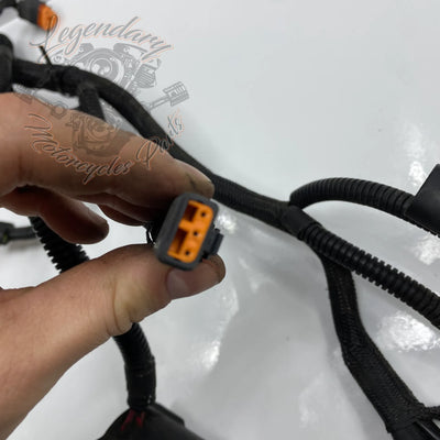 Glavni snop OEM 70116-04