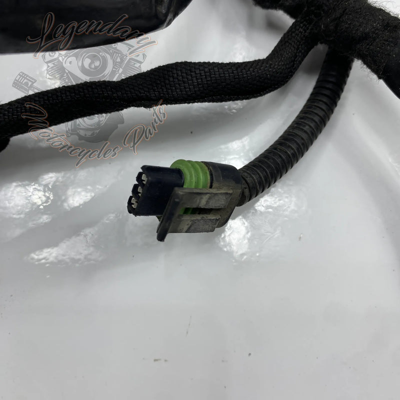 Glavni snop OEM 70116-04