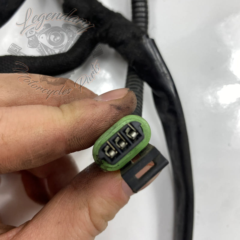 Glavni snop OEM 70116-04
