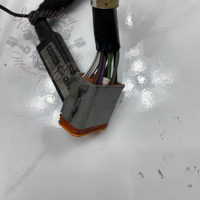 Glavni snop OEM 70116-04
