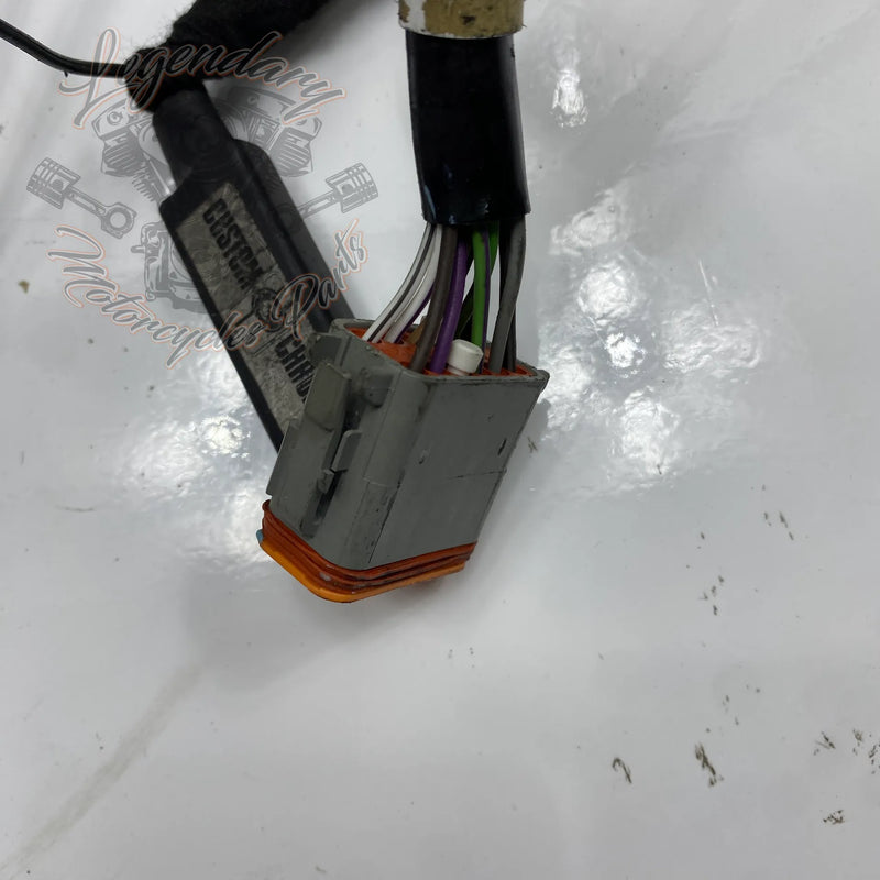 Glavni snop OEM 70116-04