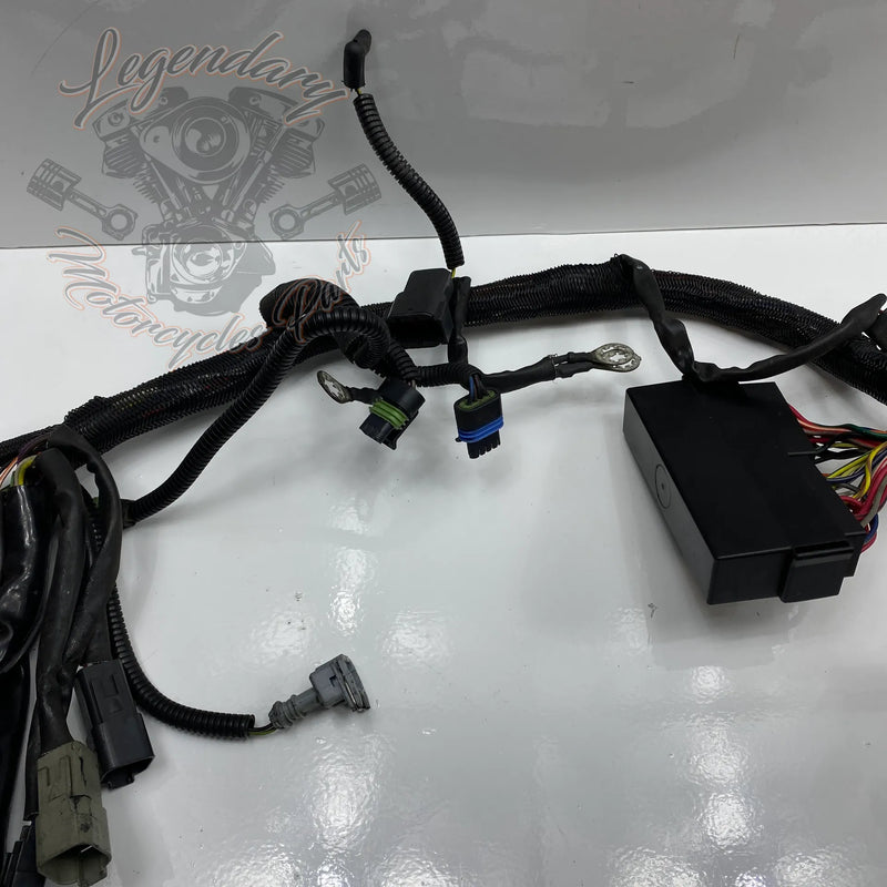 Glavni snop OEM 70116-04
