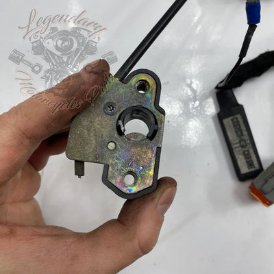 Glavni snop OEM 70116-04
