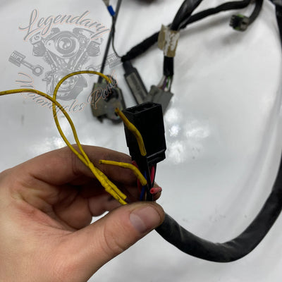 Glavni snop OEM 70116-04