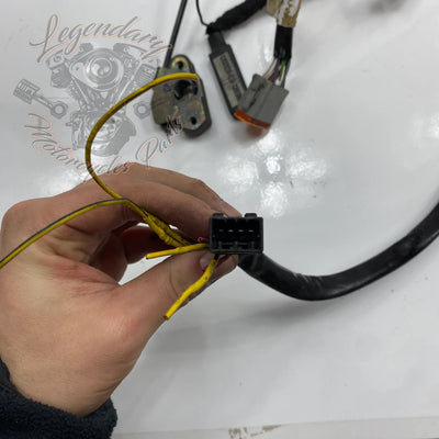 Glavni snop OEM 70116-04