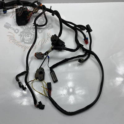 Glavni snop OEM 70116-04
