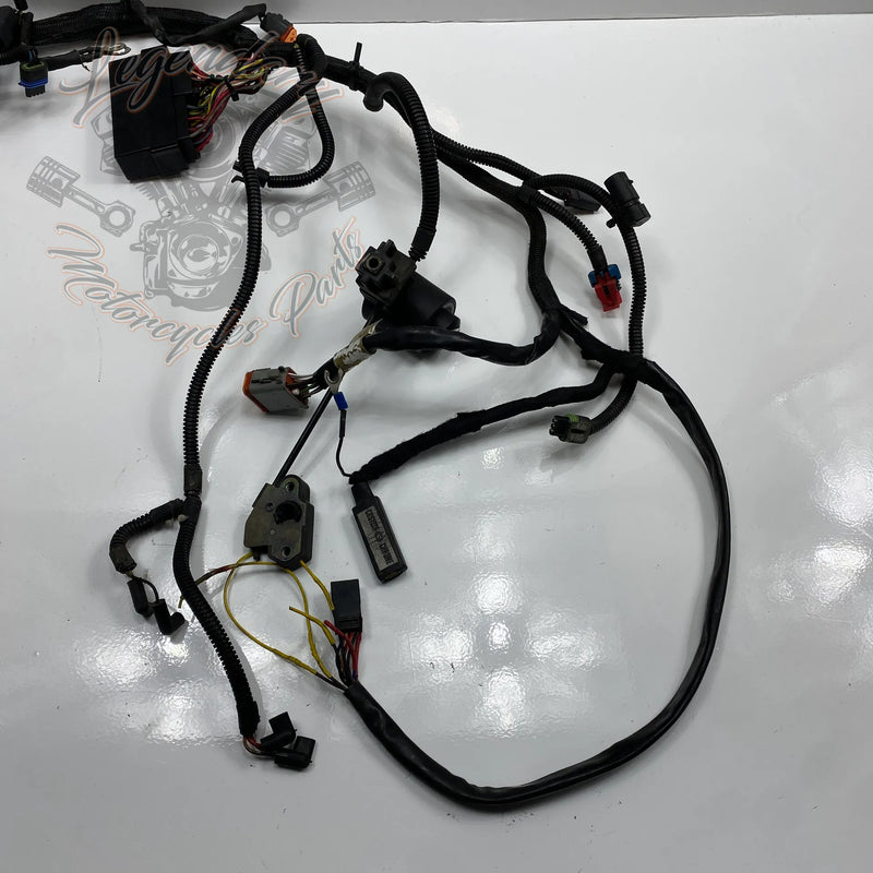 Glavni snop OEM 70116-04