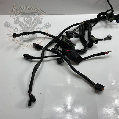 Glavni snop OEM 70116-04