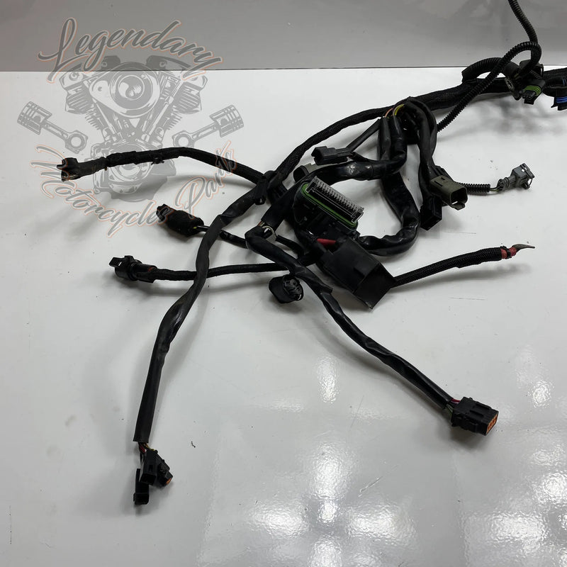 Glavni snop OEM 70116-04