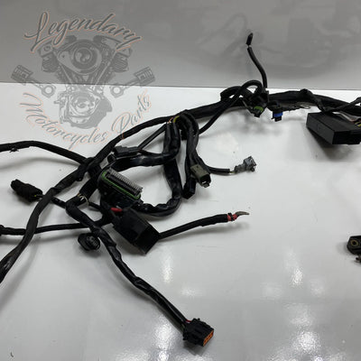 Glavni snop OEM 70116-04