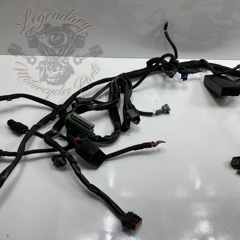 Glavni snop OEM 70116-04