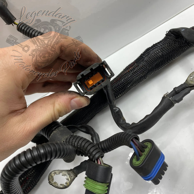 Glavni snop OEM 70116-04