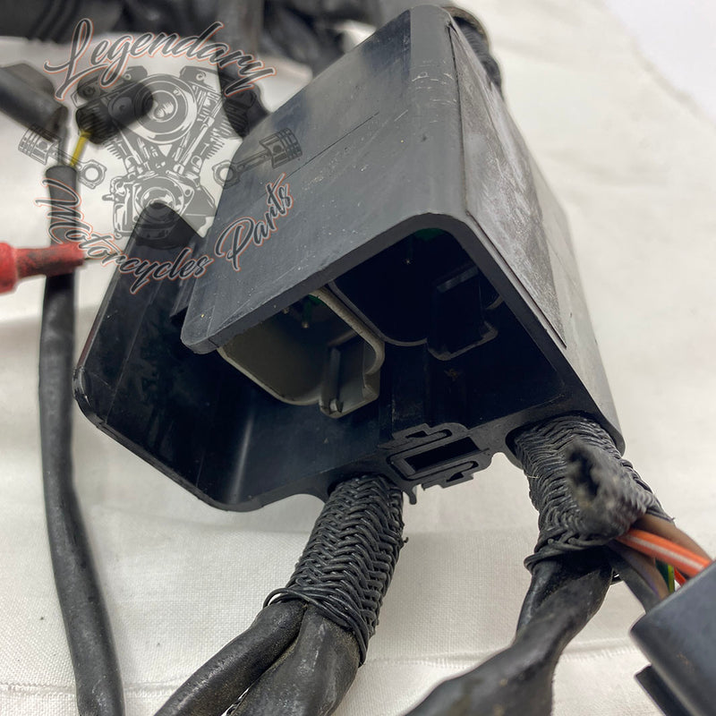 Feixe principal OEM 70139-06B