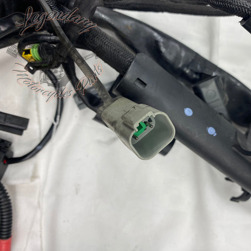 Feixe principal OEM 70139-06B