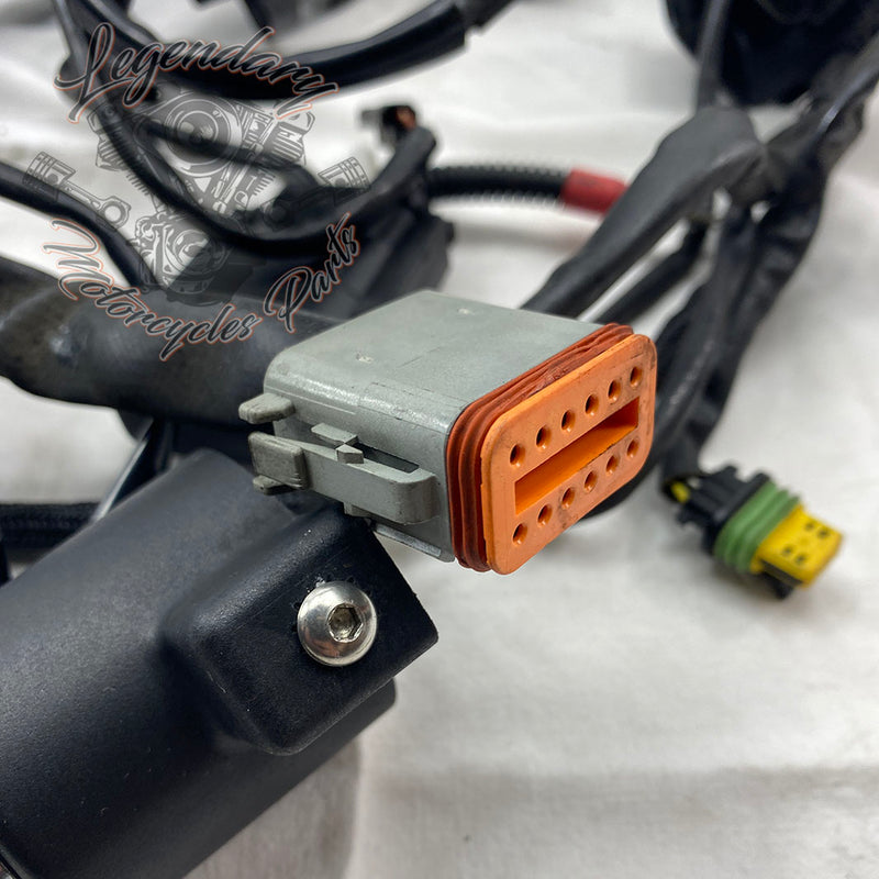 Feixe principal OEM 70139-06B