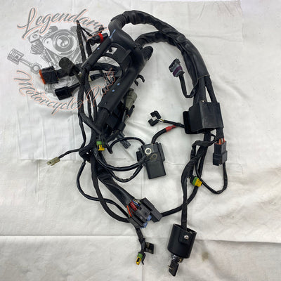 Main harness OEM 70139-06B